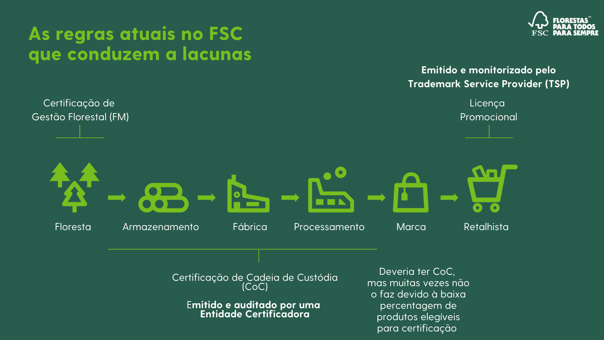 piloto1