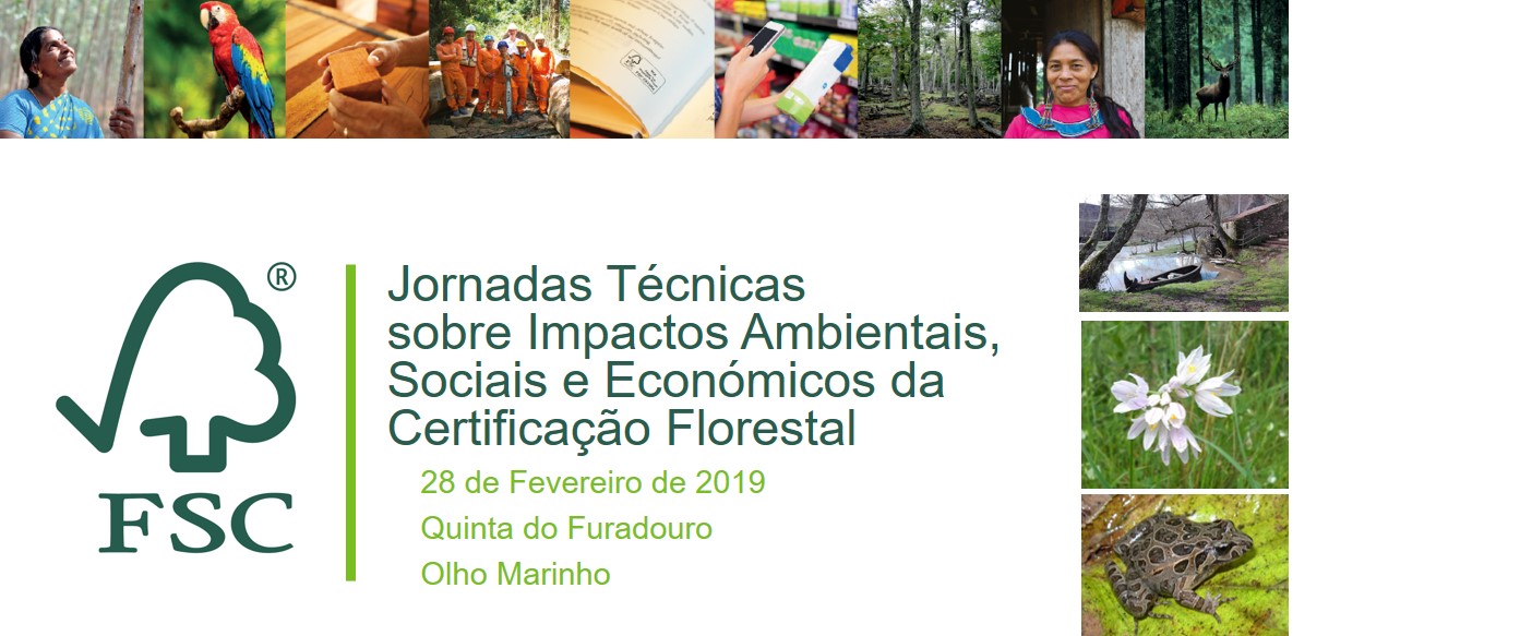 jornadas
