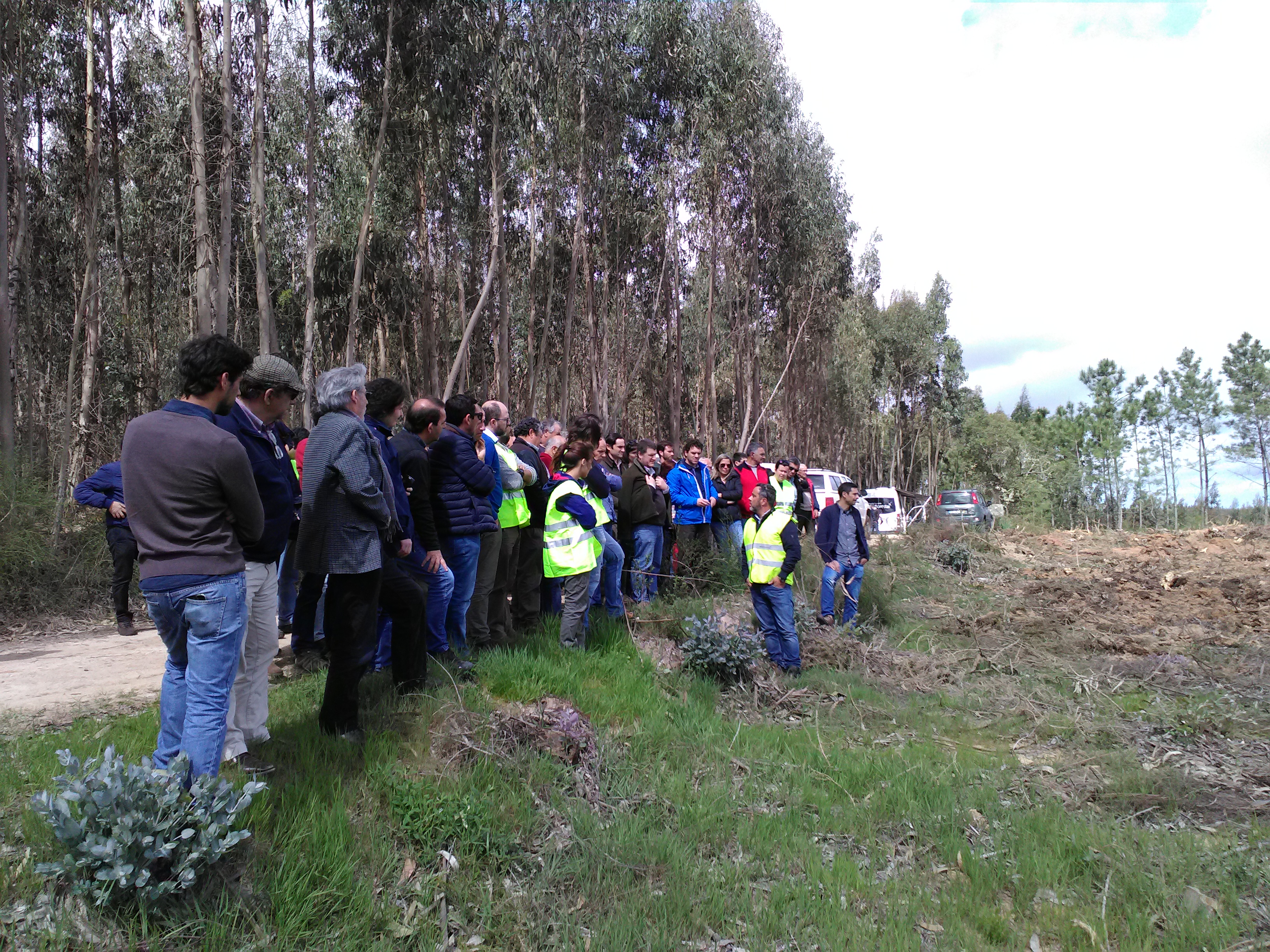 jornadas