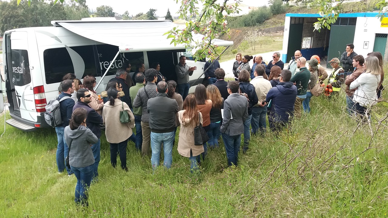 jornadas