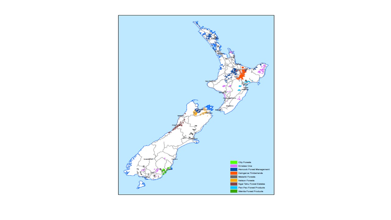 NZ