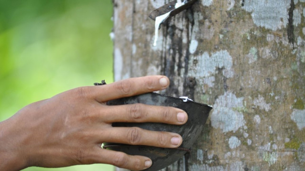 rubber