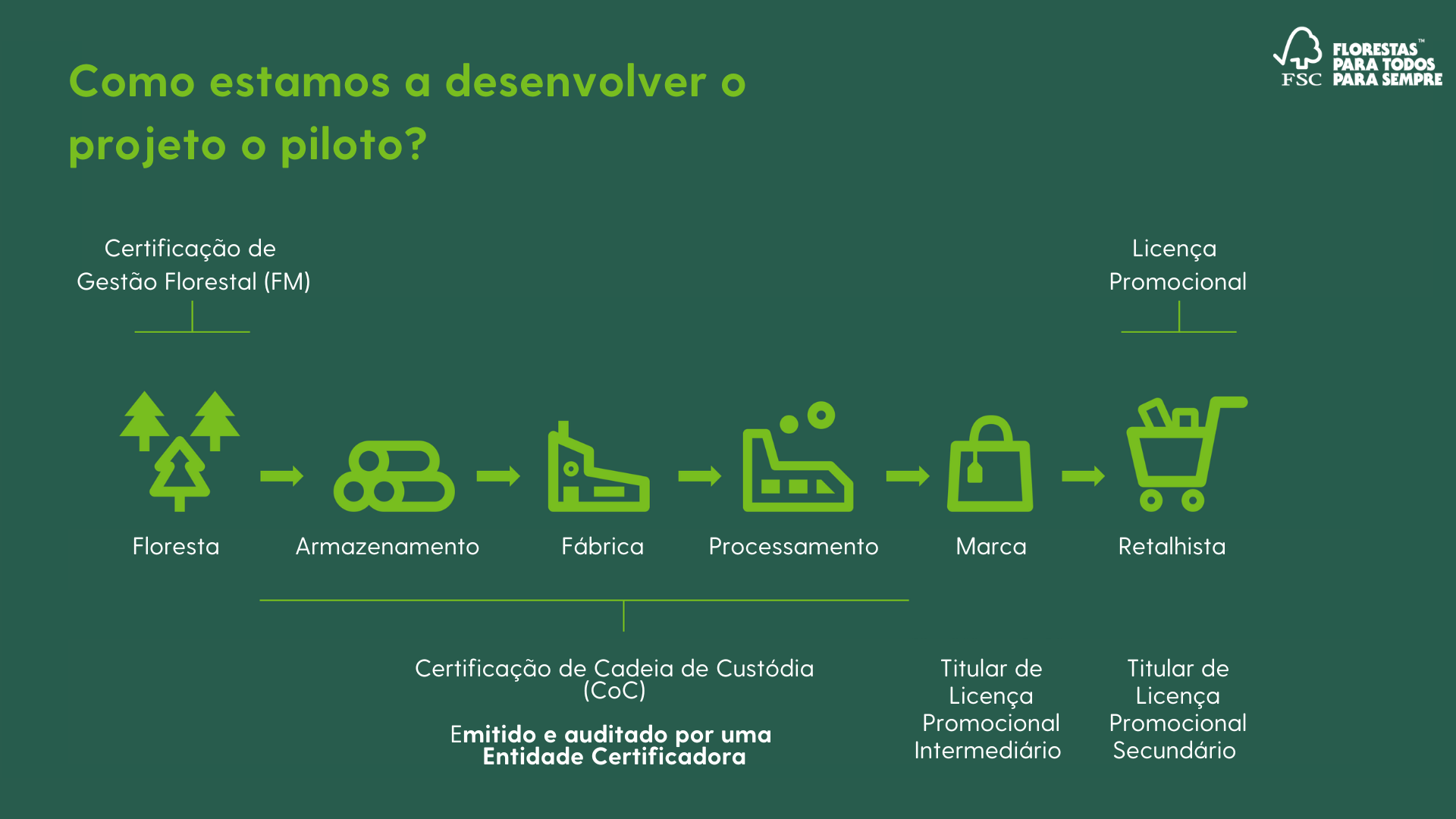 piloto2