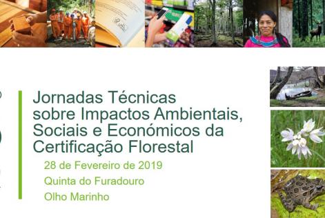 jornadas