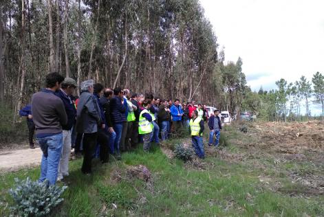 Jornadas