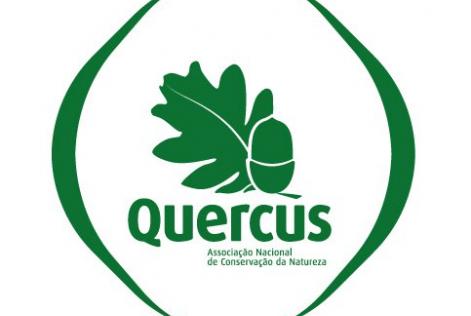 quercus