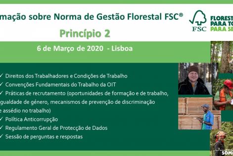 Formação P2+RGPD