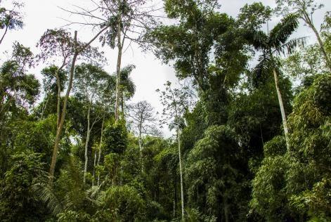 Peru