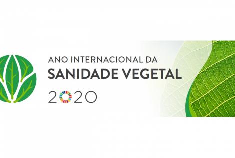 Ano Internacional da Sanidade Vegetal