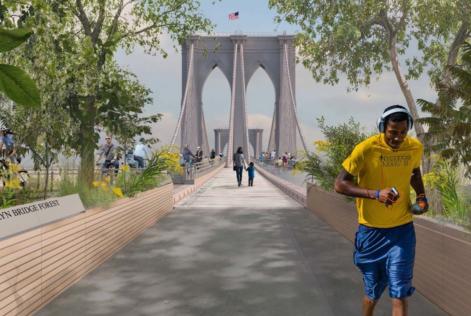 Brooklyn Bridge Forest