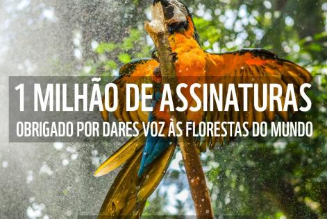 Juntos pelas Florestas