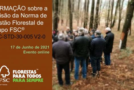 Formação Norma de Grupo