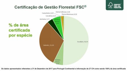 Certificação de Gestão Florestal FSC