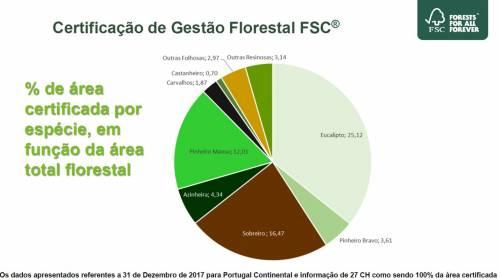 Certificação de Gestão Florestal FSC