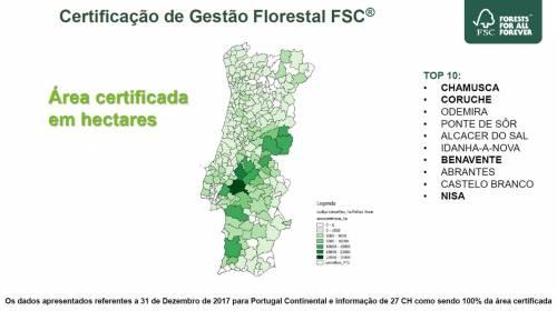 Área Certificada em hectares