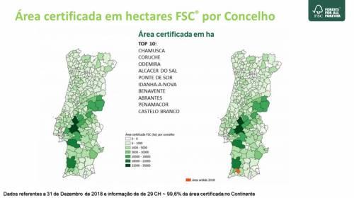 Área Certificada em hectares